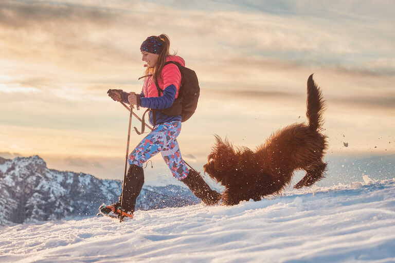 Winterurlaub mit Hund