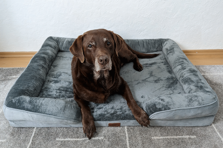 Orthopädisches Hundebett