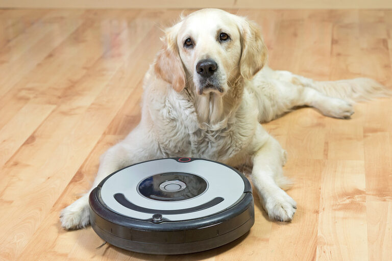 Saugroboter für Hundehaare