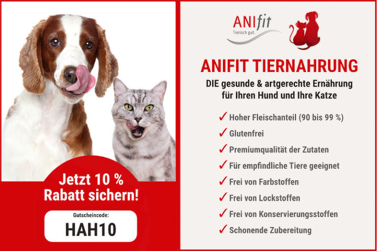 Anifit Gutschein