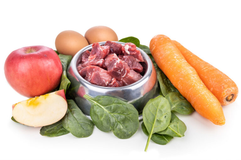 Hunde BARFen: Vorteile, Zutaten, Mengen & Tipps - Hund-als-Haustier.de ...