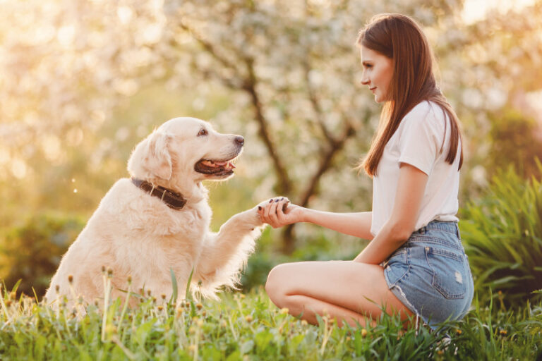 Hunde sind die besten Freunde des Menschen