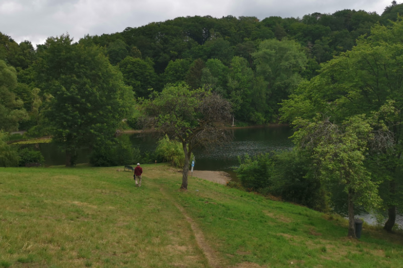 Hundeurlaub in der Eifel (Ulmener Maar)