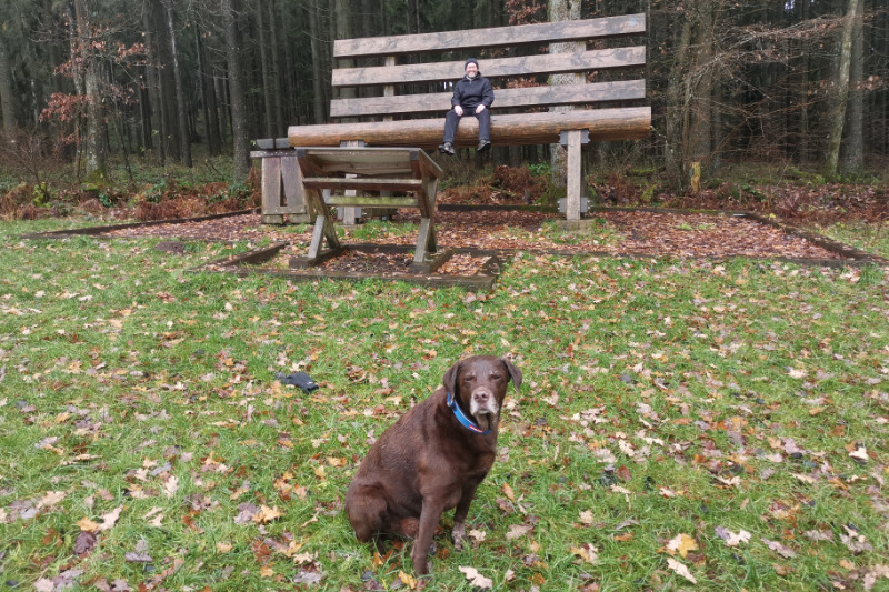 Urlaub mit Hund in der Eifel (XXL-Bank bei Birresborn)