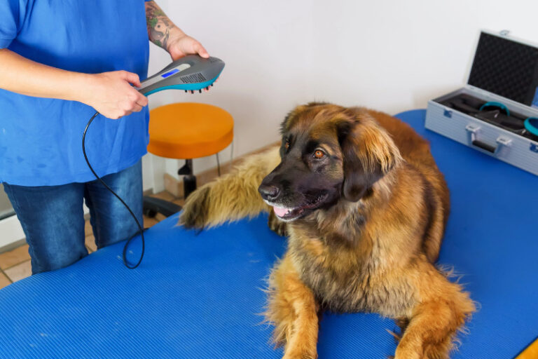 Die Low Level Lasertherapie wird bei verschiedensten Problemen eingesetzt