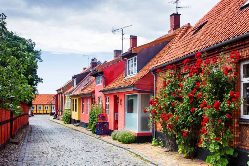 Bornholm ist für einen Urlaub mit Hund ebenfalls sehr empfehlenswert