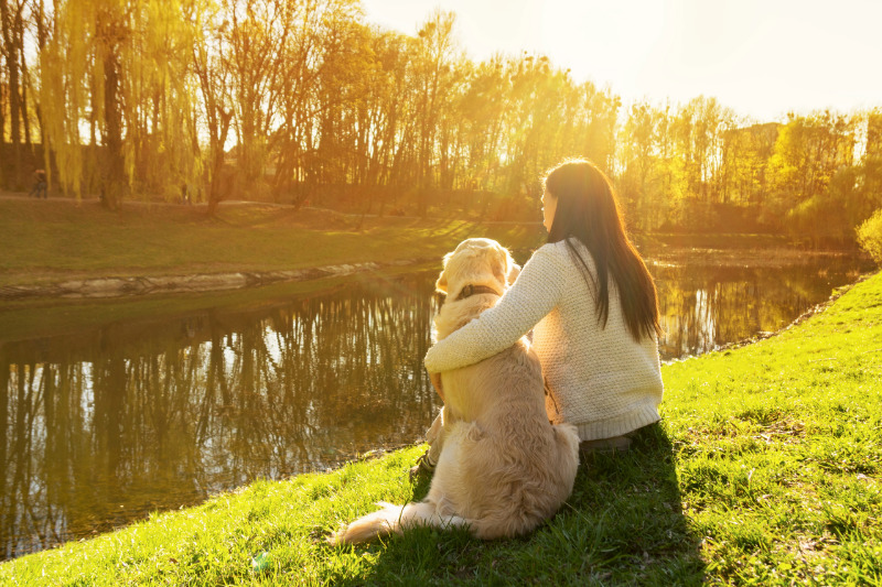 Mit guter Vorsorge ist der Alltag mit Hund viel entspannter