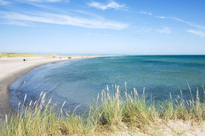 Nordjütland ist eine beliebte Region für einen Urlaub mit Hund