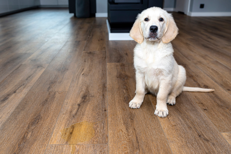 Rückschläge gehören dazu