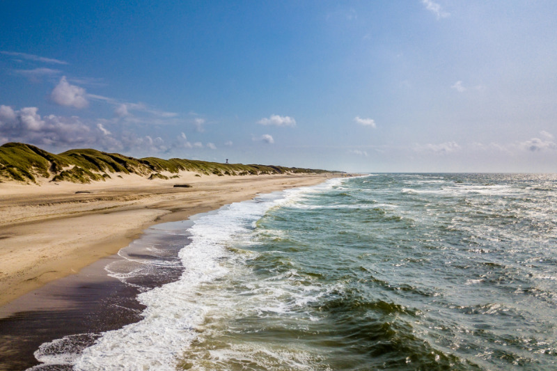 Søndervig: Hundestrand in Dänemark