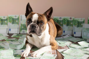 Teures Hundefutter? Wie Du Qualität erkennst und trotzdem Geld sparst