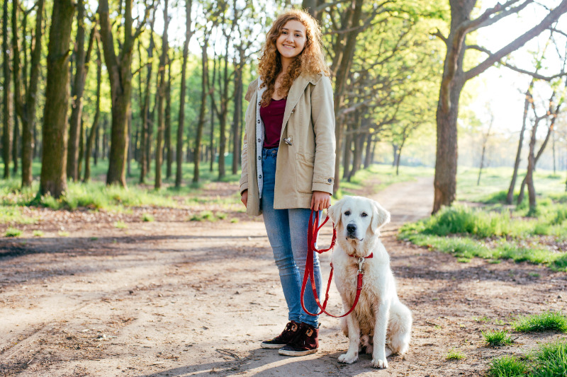 Vorsorge für Hunde ist mehr als Versicherungen