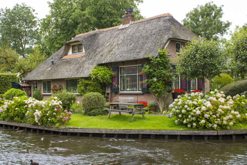 Ein Ferienhaus in den Niederlanden ist perfekt für Hundemenschen