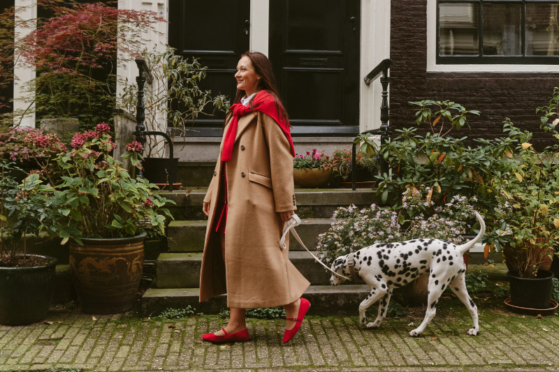 Vorbereitung ist alles beim Städtetrip mit Hund