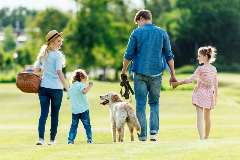Gassi gehen im Park: Regeln, Leinenpflicht und Rücksicht für Hundebesitzer